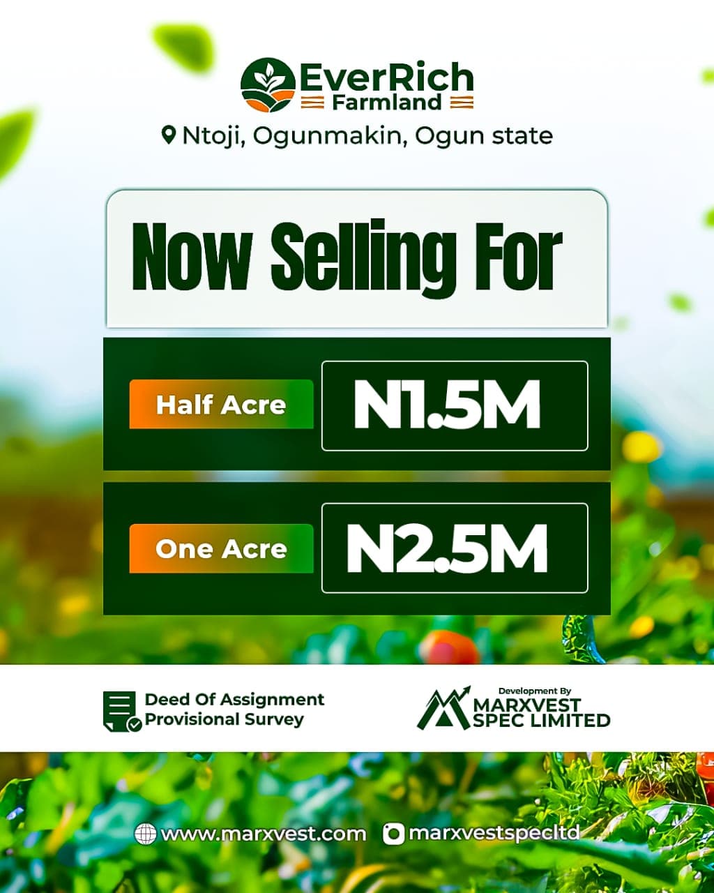 Billionaires Court Estate gallery view 3 in Ikorodu Ogijo-Sagamu, Konigbagbe axis, Lagos/Ogun growth corridor